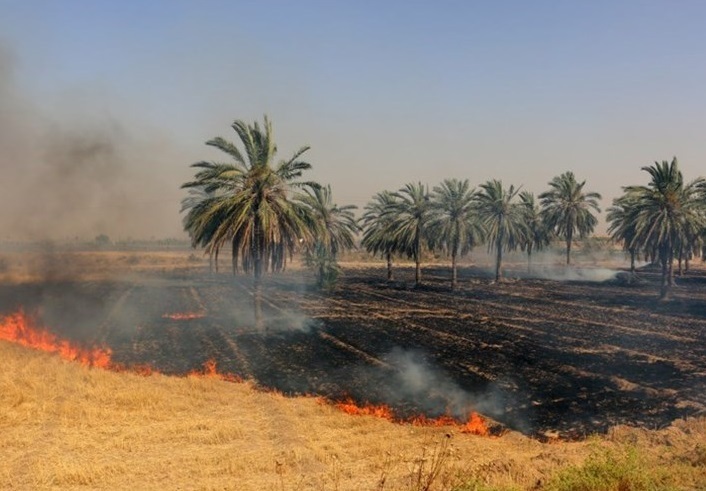 آتش سوزی در ۹ هکتار از مزارع جو در قیروکارزین