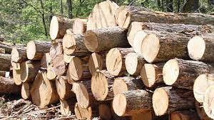کشف ۹ تن چوب قاچاق در اسلام آباد غرب