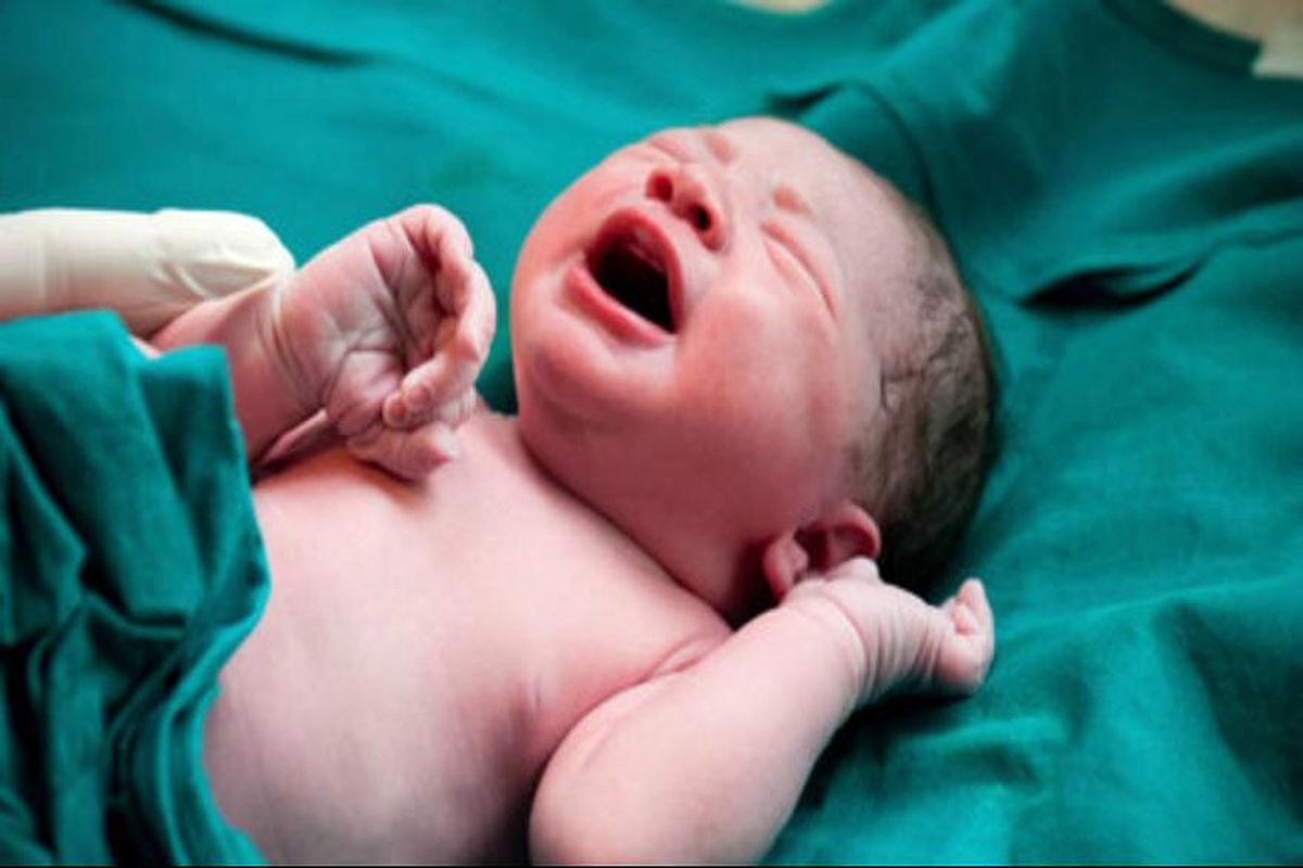 تولد بیش از هفت هزار نوزاد طی سال گذشته در ایلام