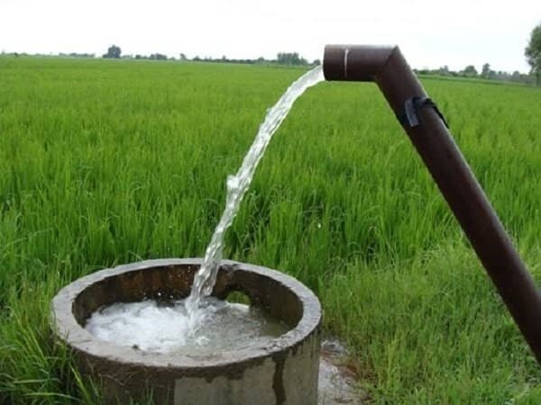 بهره‌وری آب و اصلاح الگوی کشت نیاز جدی کشاورزی خراسان رضوی