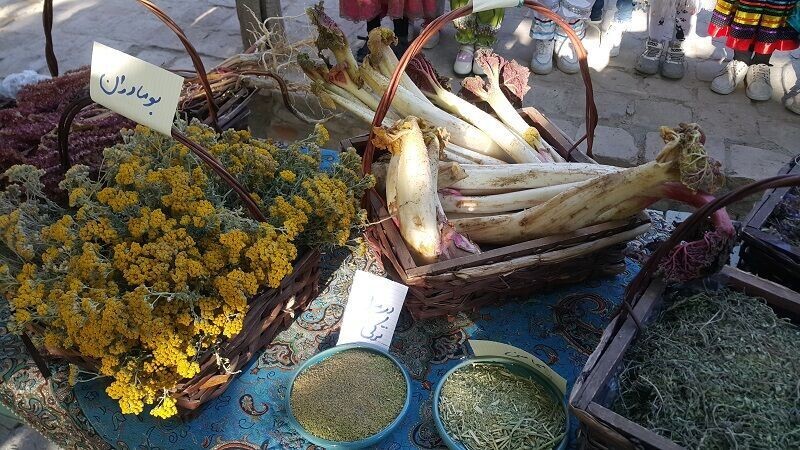 نخستین جشنواره بومی محلی گیاهان داروئی در روستای صنوبر تربت حیدریه