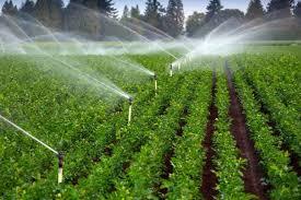 اجرای آبیاری نوین در سه میلیون هکتار اراضی کشاورزی کشور