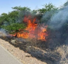 مهار آتش سوزی درختان حاشیه جاده اهواز - اندیمشک