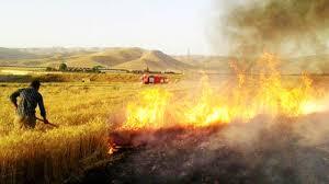 افزایش آتش سوزی طبیعت به دلیل بی احتیاط و گرما در خوزستان