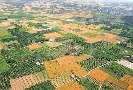۷۰ درصد اراضی کشاورزی کشور خرد و زیر ۵ هکتار