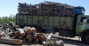 صدور مجوز حمل ۲۵۰ تُن چوب به خارج از مهاباد