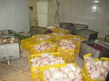 کشف و ضبط یک محموله مرغ منجمد یخزدایی شده در آذربایجان غربی