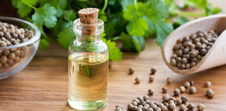 خواص روغن گشنیز از کاهش قند خون تا رفع تیرگی دور چشم