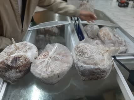 امحاء ۲۸۰ کیلوگرم گوشت و فرآورده غیربهداشتی در کرمانشاه