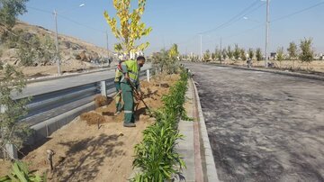 آغاز واکاری و کاشت ۲۰ هزار درخت و درختچه در منطقه ۹ اصفهان