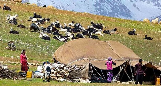 ۳/۱ درصد از تولید ناخالص داخلی به جامعه عشایر اختصاص دارد