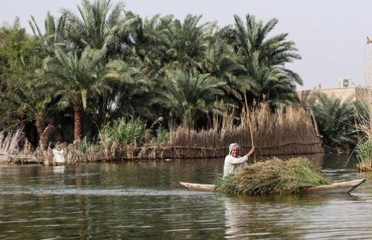 بازدید رئیس جمهور از تالاب بین المللی شادگان