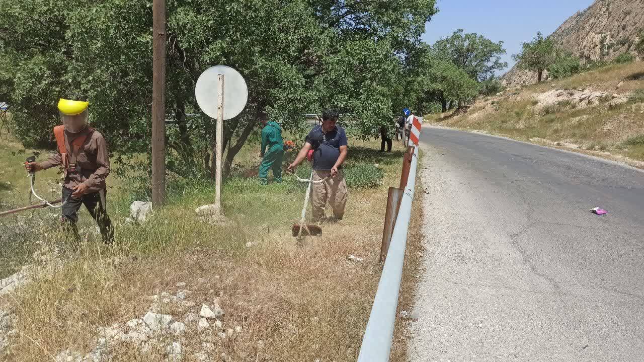 علف زنی برای جلوگیری از آتش سوزی در گچساران