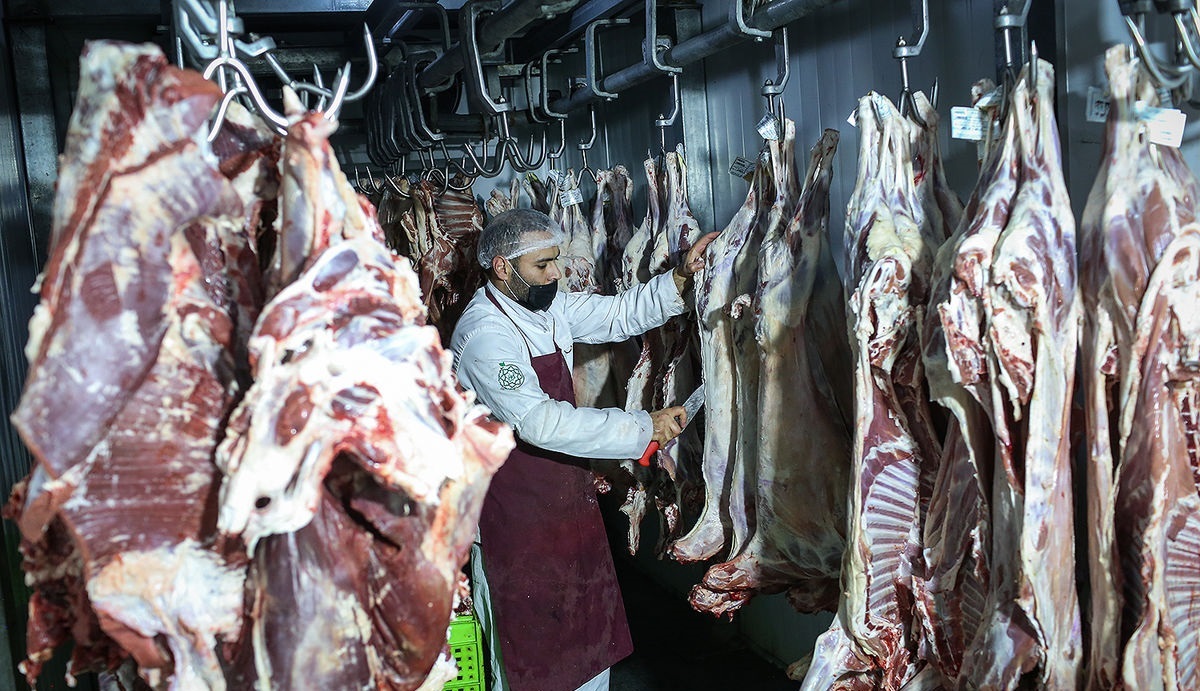 تولید بیش از ۲ میلیون تن گوشت قرمز زیر نظر دامپزشکی خوزستان
