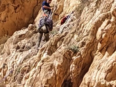 نجات ۳جوان گرفتار در دیواره کوه ملاورد