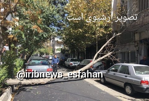 سقوط ۳۰ اصله درخت در اصفهان بر اثر تندباد