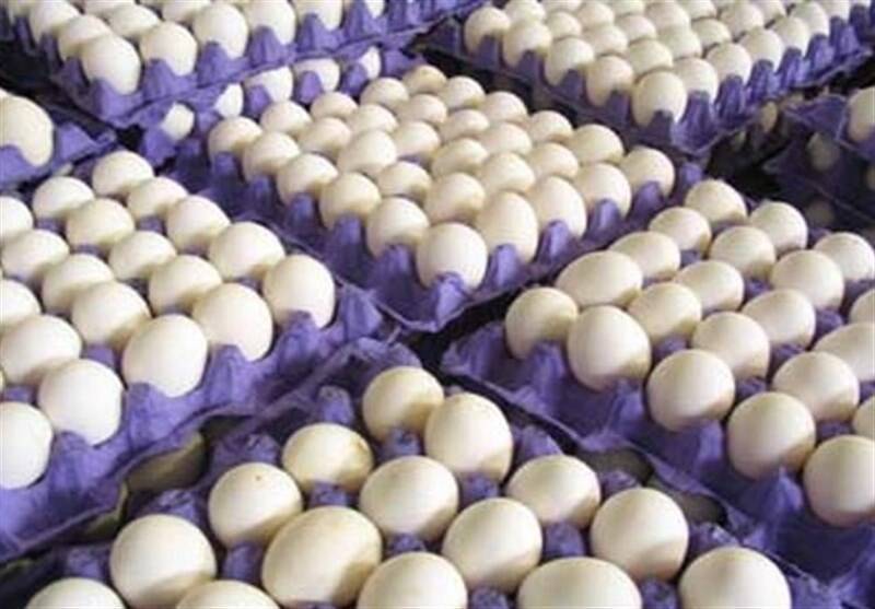 رشد ۲۰ درصدی تولید تخم مرغ در استان 