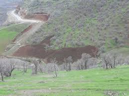 رفع تصرف بیش از هزار و ۳۰۰ هکتار از اراضی منابع طبیعی کردستان