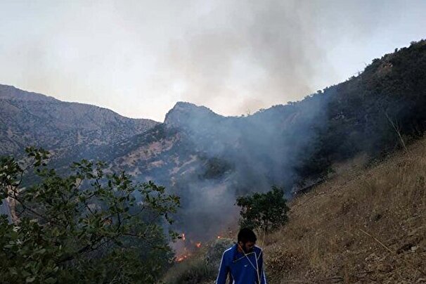 کنترل آتش سوزی در منطقه شلالدون