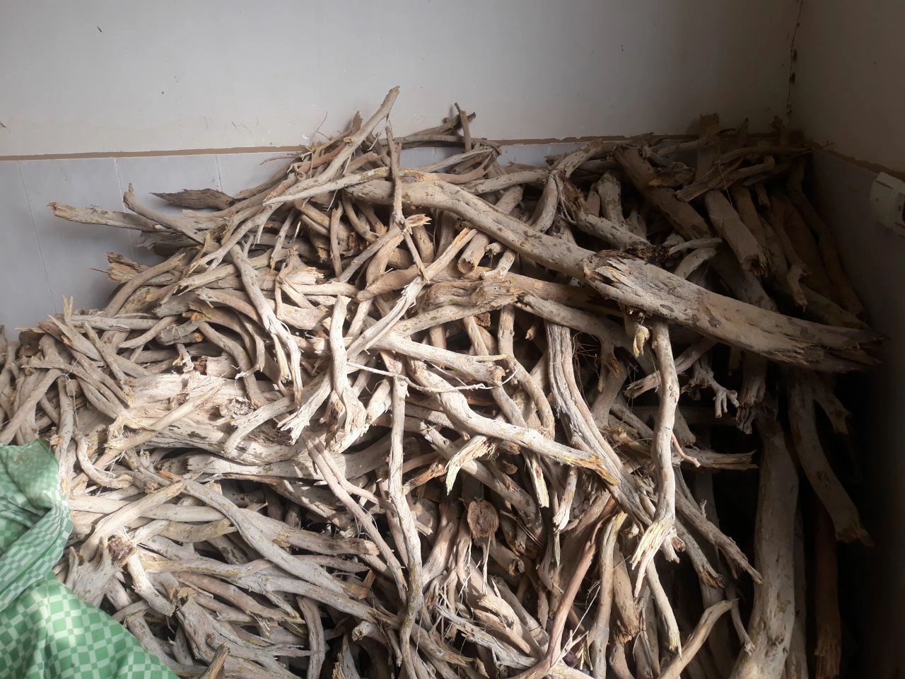 کشف بیش از ۲ تن چوب تاغ قاچاق در شهرستان سرخس