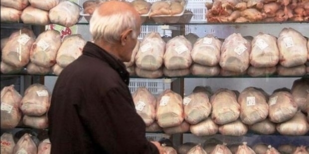کشف تخلف عرضه خارج از شبکه ۲ تن مرغ در یک فروشگاه شیراز