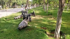 یک کشته براثرسقوط مجسمه در  اراک