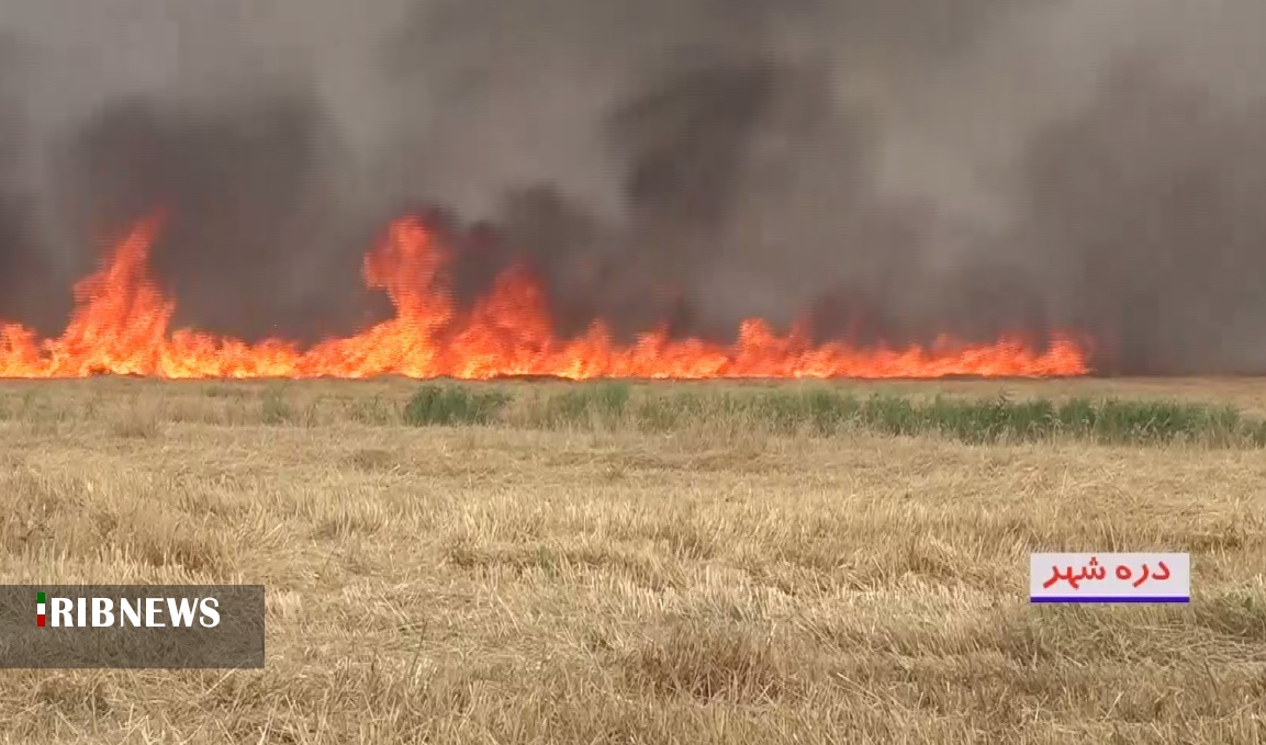 آتش بی احتیاطی بر جان مزارع کشاورزی استان ایلام