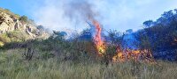 ۵۰ هکتار از اراضی پارک ملی تندوره درگز در آتش سوخت