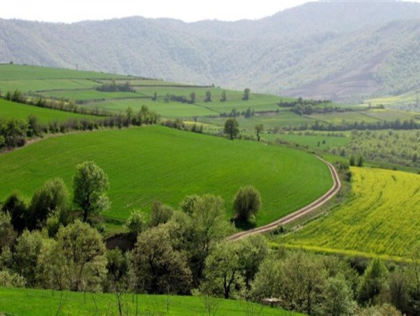 صدور سند تک برگ برای عرصه‌های طبیعی در کرمانشاه