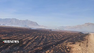 افزایش خسارت آتش سوزی  مزارع در خرم آباد