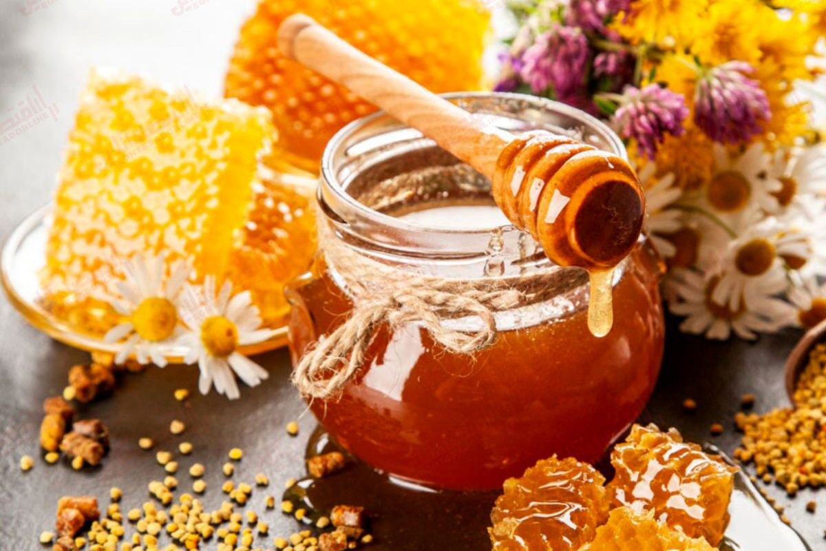 استان یزد از تولید کنندگان مرغوبترین عسل کشور