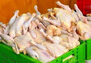 اگر مرغ را با قیمت مصوب عرضه نکنید، وارد می‌کنیم