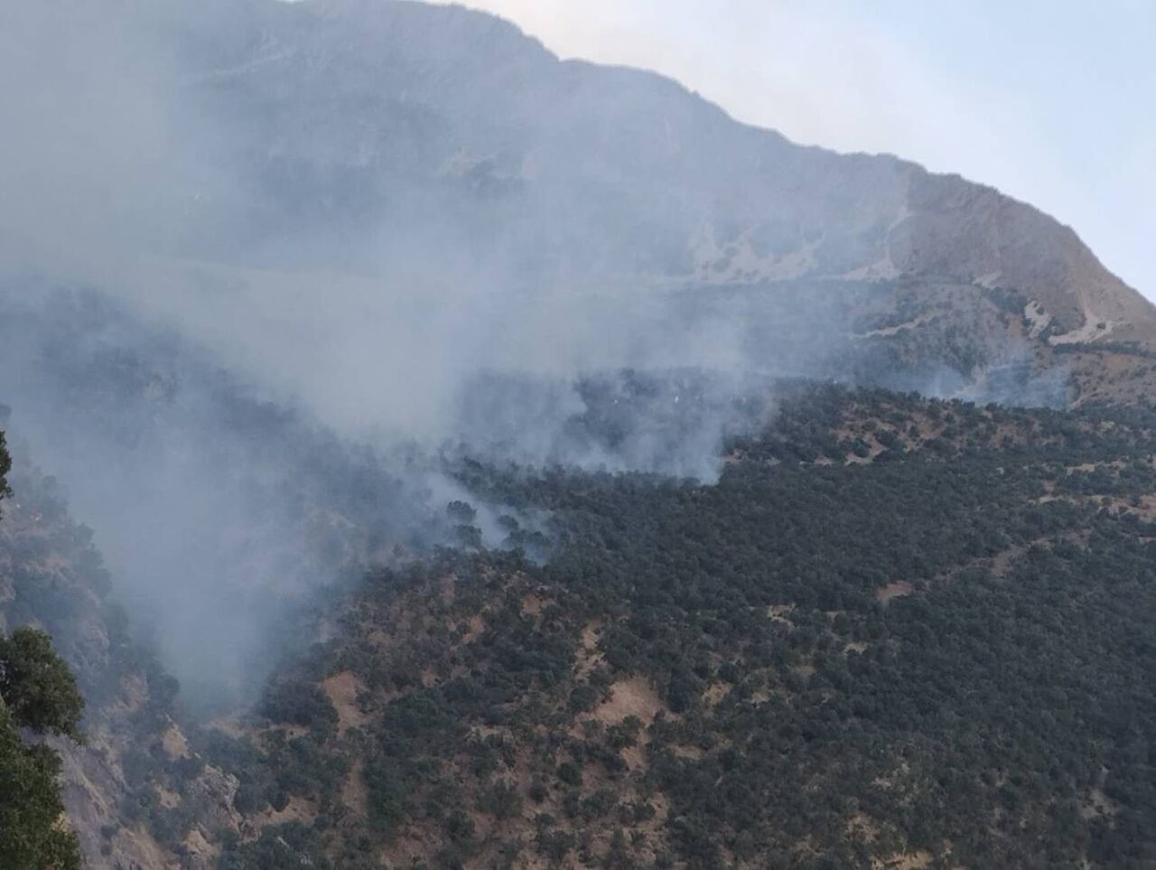 مهار آتش‌سوزی در منطقه حفاظت شده خامین