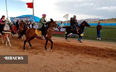 برگزاری دومین جشنواره ملی اسب اصیل کرد در بوکان