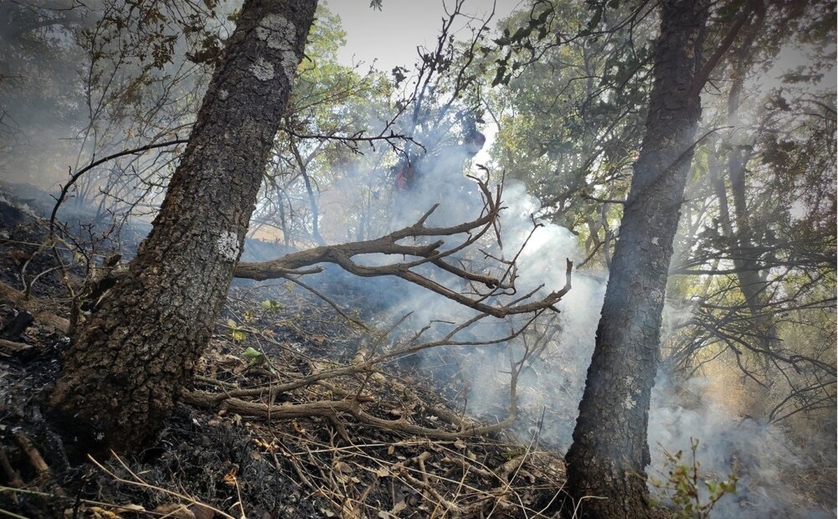 آتش سوزی در جنگل‌ها و مراتع شهرستان گچساران