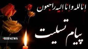 پیام تسلیت امام جمعه خرم آباد در پی شهادت شهید مهدوی پور