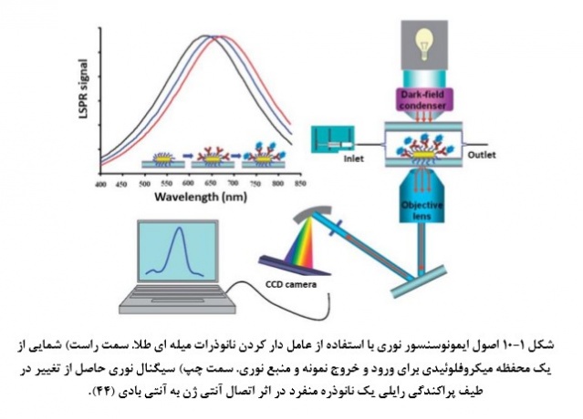 طراحی و ساخت زیست‌حسگرِ تشخیص سرطان پروستات توسط محققان دانشگاه تهران