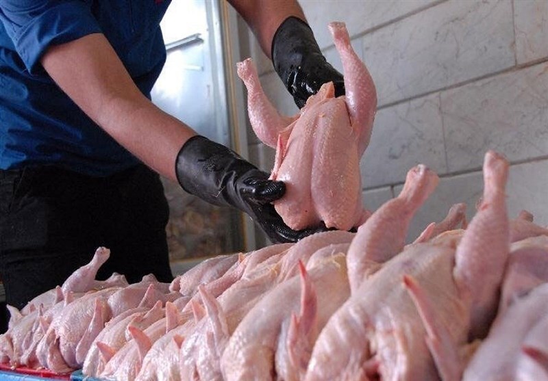 توزیع روزانه بیش از ۲۵۰ تن مرغ گرم در بازار آذربایجان غربی