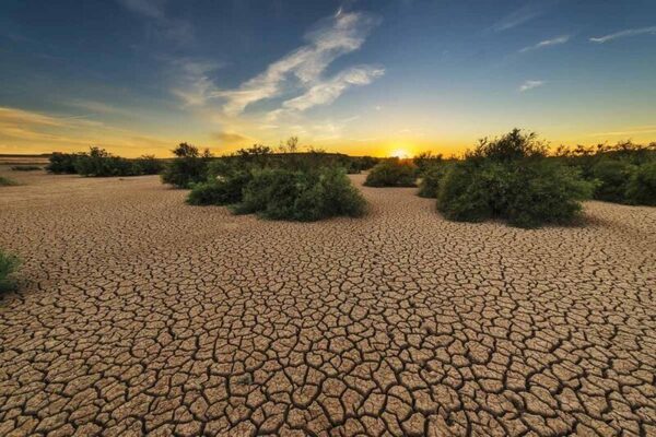 روز جهانی بیابان زدایی