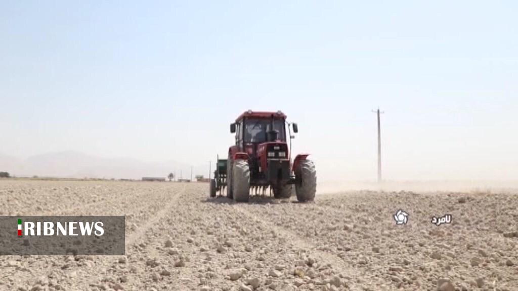 آغاز کشت دانه روغنی کنجد در جنوب فارس