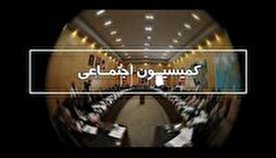 رفع ابهامات طرح ساماندهی کارکنان دولت در کمیسیون اجتماعی