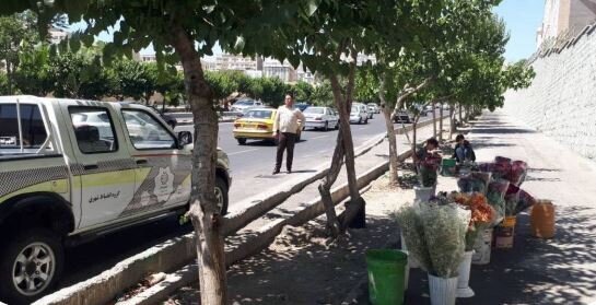 جمع آوری گل فروش‌های حادثه ساز در غرب تهران