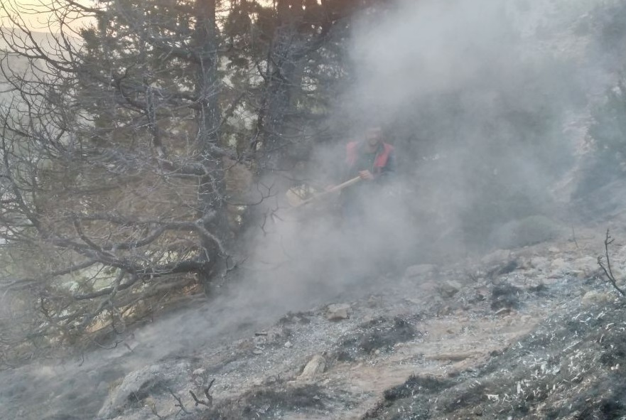 مهار آتش سوزی مراتع و جنگل‌های ارس منطقه تاتار شهرستان درگز