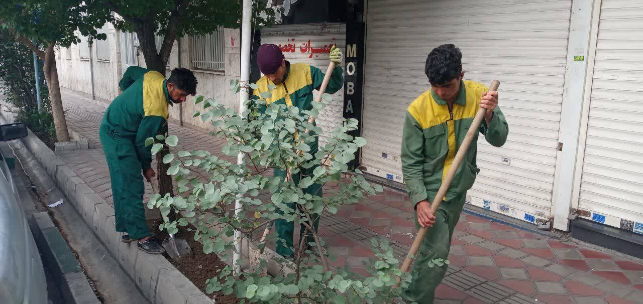 اجرای طرح نگهداشت شهر در محلات منتخب منطقه۱۳