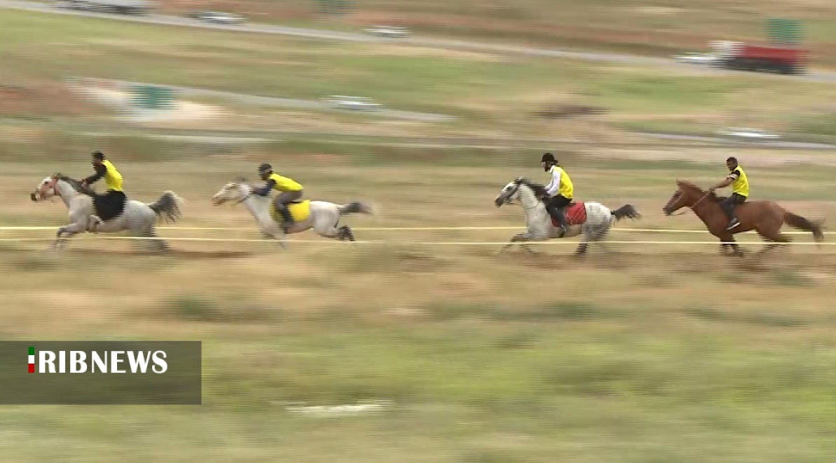 برگزاری مسابقات اسب سواری کشور در ایلام 