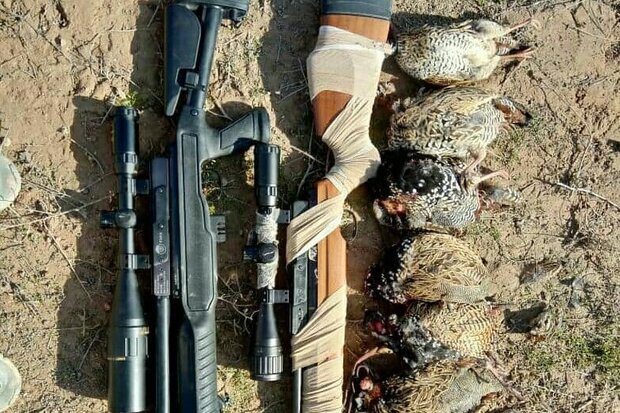 دستگیری شکارچیان متخلف و ضبط ادوات شکار در جاجرم