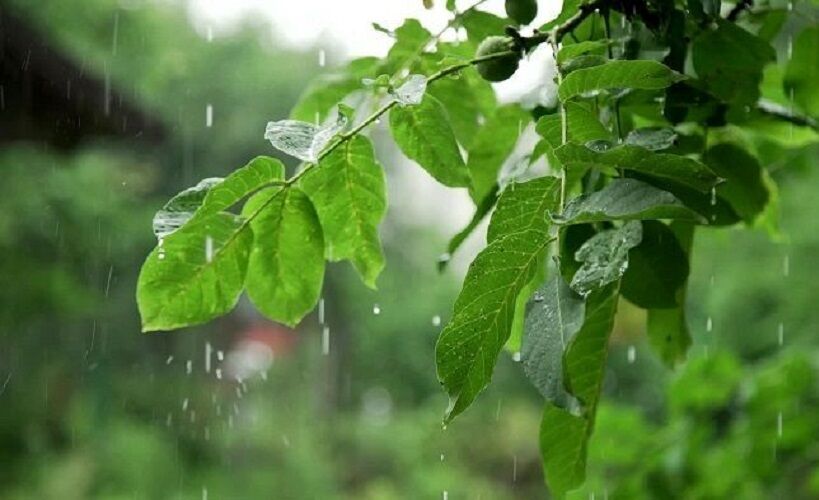 تداوم بارش باران تا اواسط هفته در آذربایجان‌ شرقی