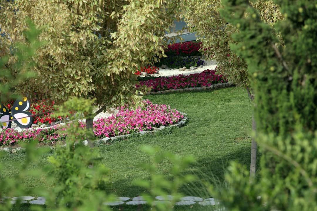 بیش از  ۳ و نیم میلیون بوته گل زینت‌بخش تابستان مشهد