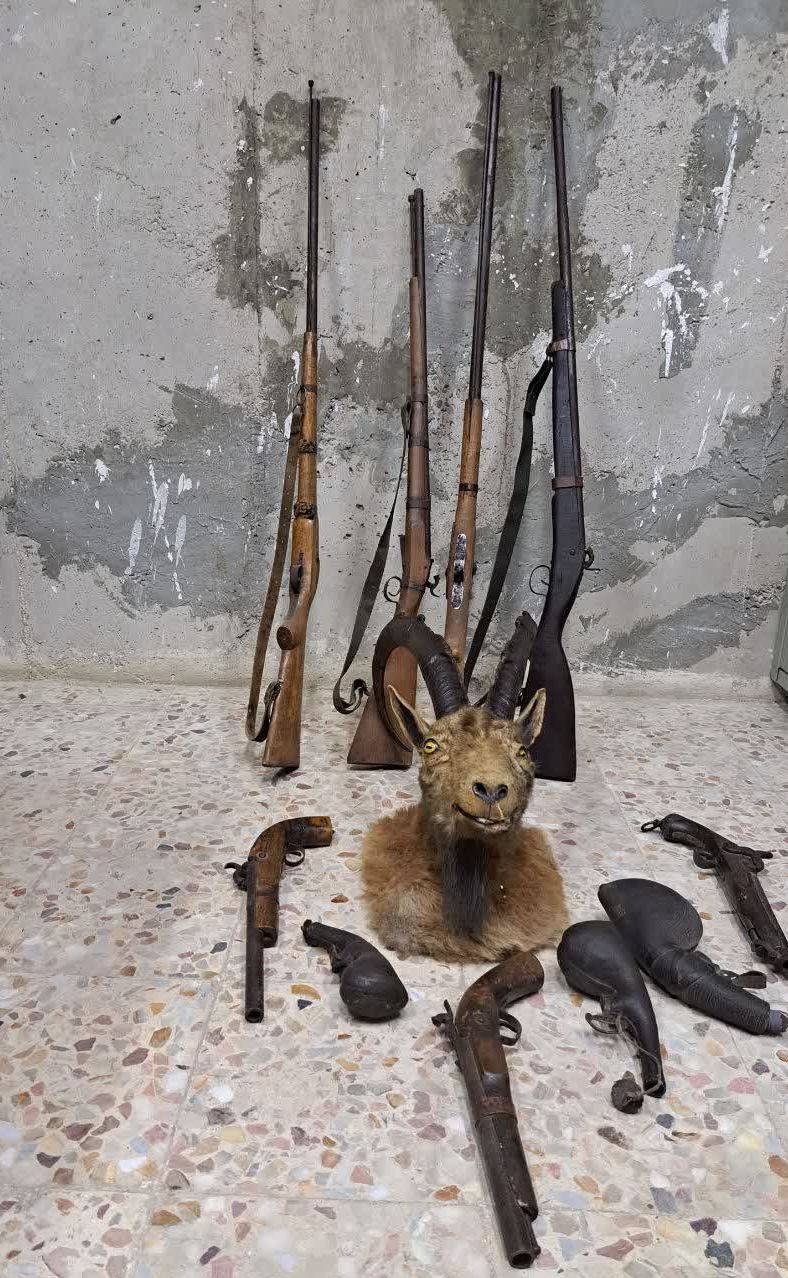 کشف ۷ قبضه سلاح شکاری غیرمجاز در زنجان