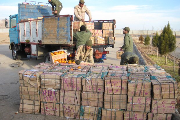 تشکیل  بیش از ۳۵۰ پرونده قاچاق کالا در استان ایلام